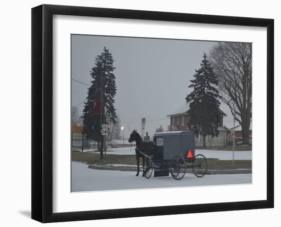 Amish Horse and Buggy, 2013-Anthony Butera-Framed Photographic Print