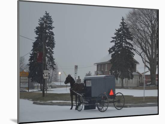 Amish Horse and Buggy, 2013-Anthony Butera-Mounted Photographic Print