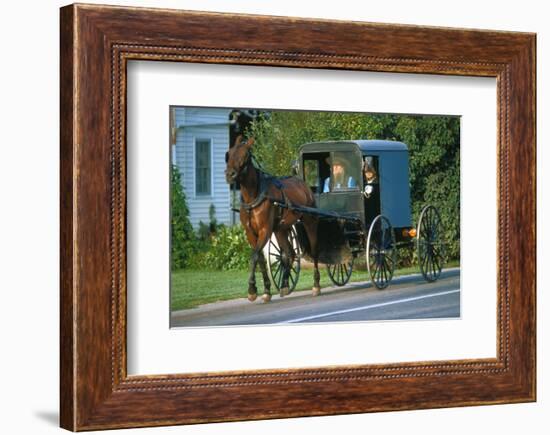 Amish in a carriage, Pennsylvania, USA-null-Framed Art Print