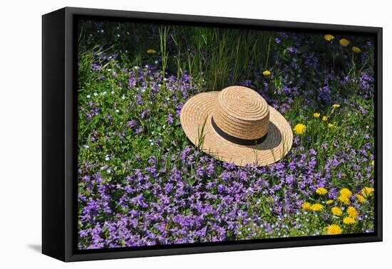 Amish Straw Hat at Spring Time-Elysium Multimedia-Framed Premier Image Canvas