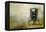 Amish Wagon-Jai Johnson-Framed Premier Image Canvas