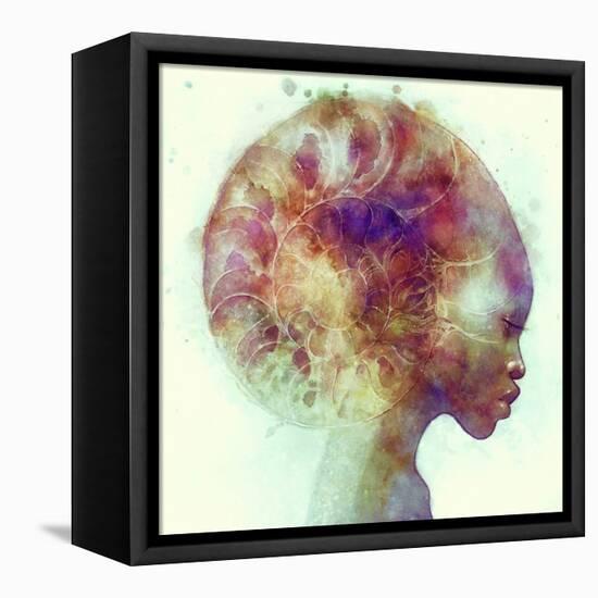 Ammon-Anna Dittman-Framed Stretched Canvas