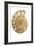 Ammonite Fossil-Lawrence Lawry-Framed Photographic Print