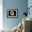 Ammonite Fossil-Kaj Svensson-Framed Photographic Print displayed on a wall