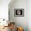 Ammonite Fossil-Kaj Svensson-Framed Photographic Print displayed on a wall