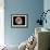 Ammonite Fossil-Kaj Svensson-Framed Photographic Print displayed on a wall