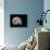 Ammonite Fossil-Walter Geiersperger-Photographic Print displayed on a wall