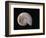 Ammonite Fossil-Walter Geiersperger-Framed Photographic Print