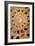 Ammonite I-Vision Studio-Framed Premium Giclee Print