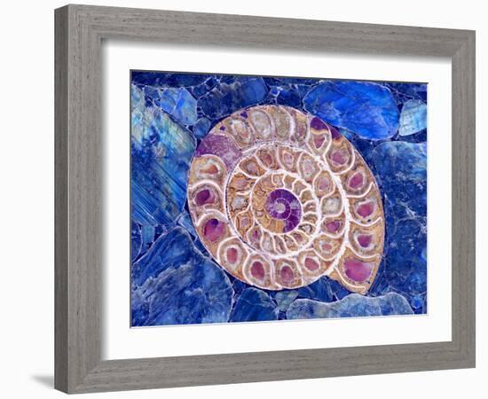 Ammonite in Labradorite-Douglas Taylor-Framed Photographic Print