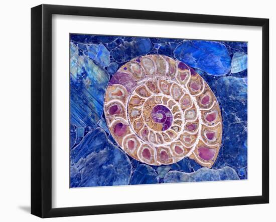 Ammonite in Labradorite-Douglas Taylor-Framed Photographic Print