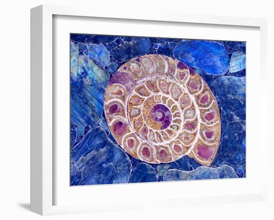 Ammonite in Labradorite-Douglas Taylor-Framed Photographic Print