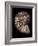 Ammonite-Gavin Kingcome-Framed Photographic Print