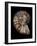 Ammonite-Gavin Kingcome-Framed Photographic Print