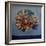 Ammonite,-Lee Campbell-Framed Giclee Print