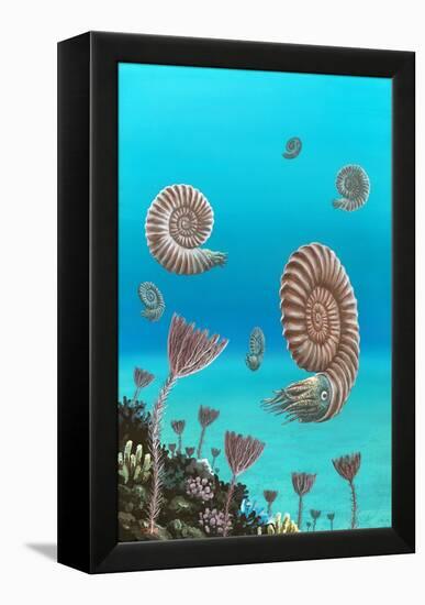 Ammonites In a Jurassic Sea-Richard Bizley-Framed Premier Image Canvas