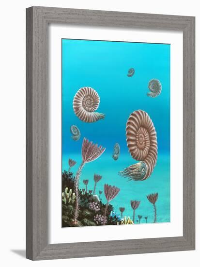 Ammonites In a Jurassic Sea-Richard Bizley-Framed Photographic Print