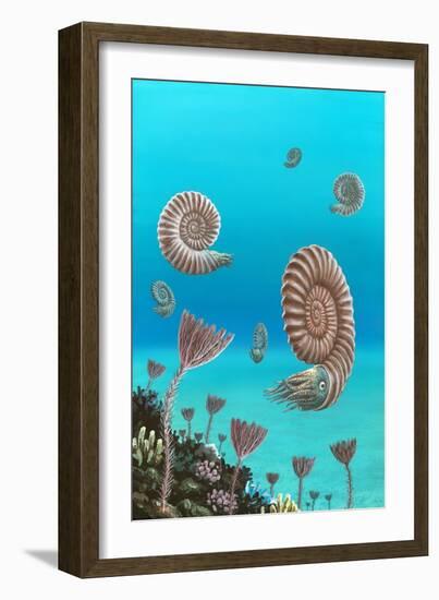 Ammonites In a Jurassic Sea-Richard Bizley-Framed Photographic Print