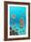 Ammonites In a Jurassic Sea-Richard Bizley-Framed Photographic Print