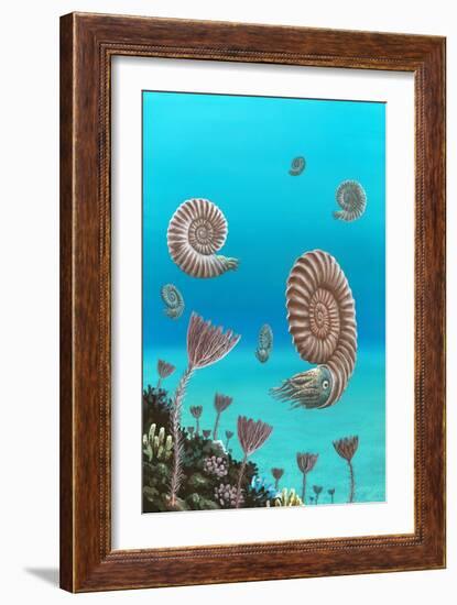 Ammonites In a Jurassic Sea-Richard Bizley-Framed Photographic Print