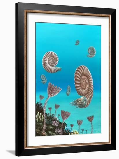 Ammonites In a Jurassic Sea-Richard Bizley-Framed Photographic Print