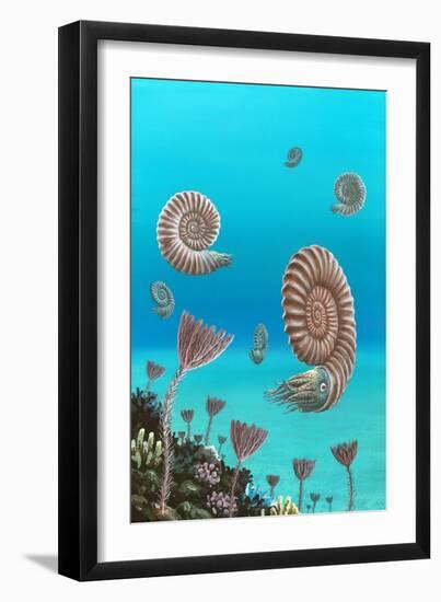 Ammonites In a Jurassic Sea-Richard Bizley-Framed Photographic Print