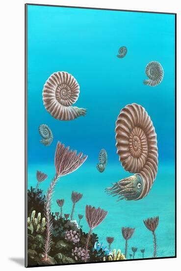 Ammonites In a Jurassic Sea-Richard Bizley-Mounted Photographic Print