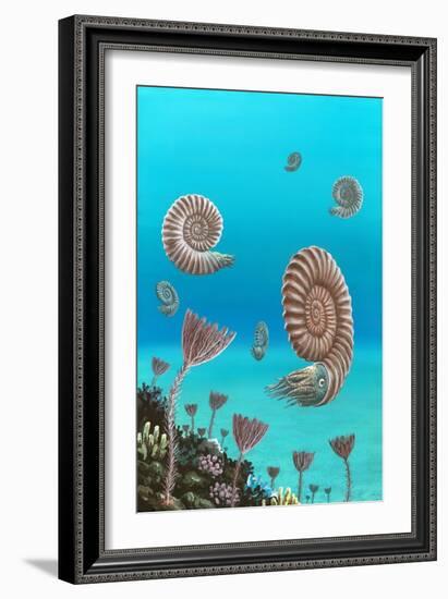 Ammonites In a Jurassic Sea-Richard Bizley-Framed Photographic Print