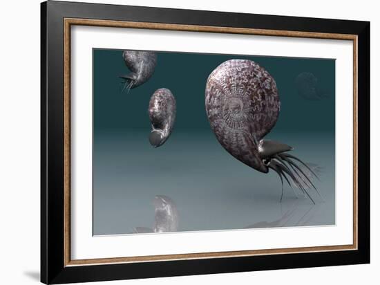 Ammonites-Christian Darkin-Framed Photographic Print