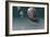 Ammonites-Christian Darkin-Framed Photographic Print