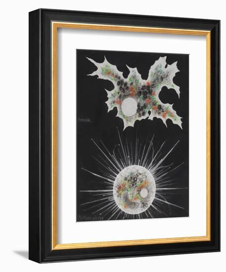 Amoeba-Philip Henry Gosse-Framed Giclee Print