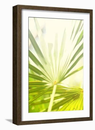 Among Palms I-Susan Bryant-Framed Art Print