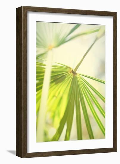 Among Palms II-Susan Bryant-Framed Art Print