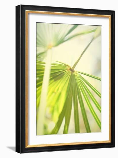 Among Palms II-Susan Bryant-Framed Art Print