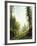 Among the Bernese Alps-Albert Bierstadt-Framed Giclee Print