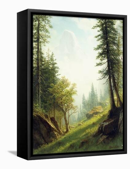 Among the Bernese Alps-Albert Bierstadt-Framed Premier Image Canvas