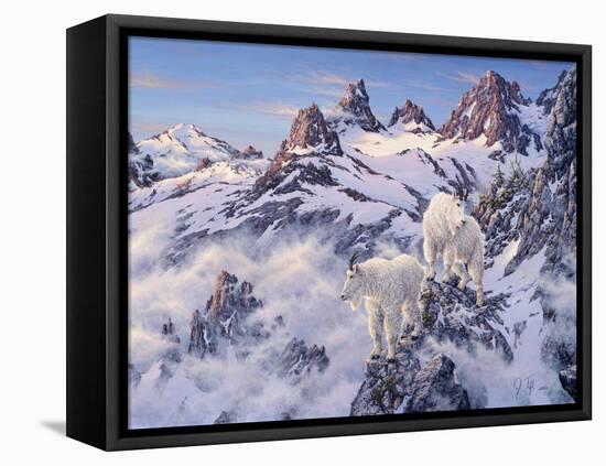Among the Clouds - Mtn. Goat-Jeff Tift-Framed Premier Image Canvas
