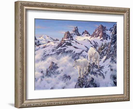 Among the Clouds - Mtn. Goat-Jeff Tift-Framed Giclee Print