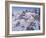 Among the Clouds - Mtn. Goat-Jeff Tift-Framed Giclee Print