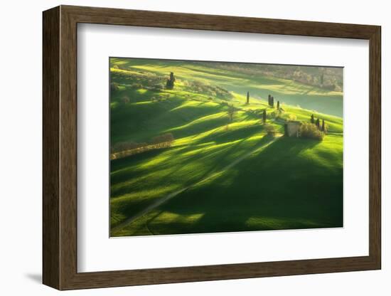 Among the Cypresses-Marcin Sobas-Framed Photographic Print