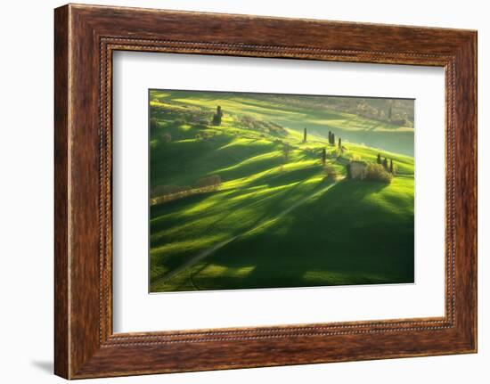 Among the Cypresses-Marcin Sobas-Framed Photographic Print