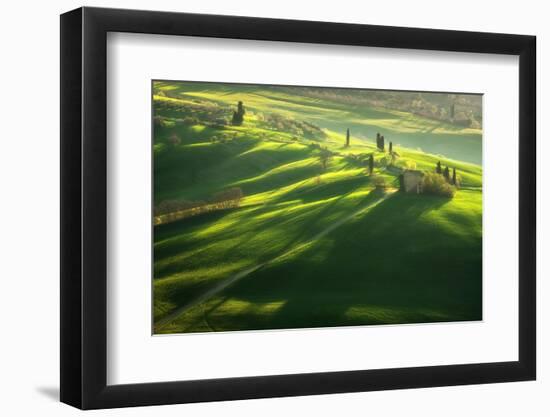 Among the Cypresses-Marcin Sobas-Framed Photographic Print