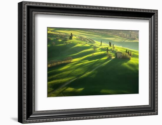 Among the Cypresses-Marcin Sobas-Framed Photographic Print