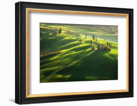 Among the Cypresses-Marcin Sobas-Framed Photographic Print