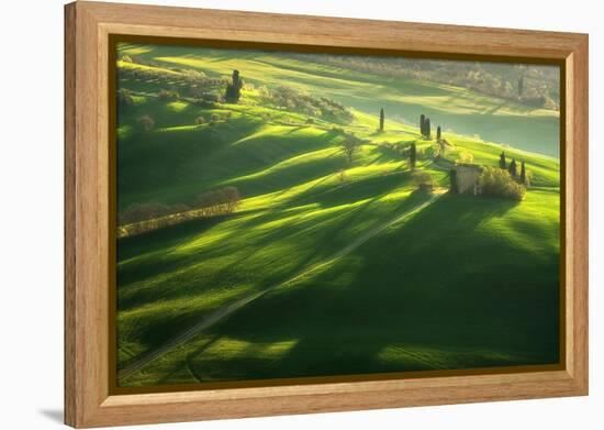 Among the Cypresses-Marcin Sobas-Framed Premier Image Canvas