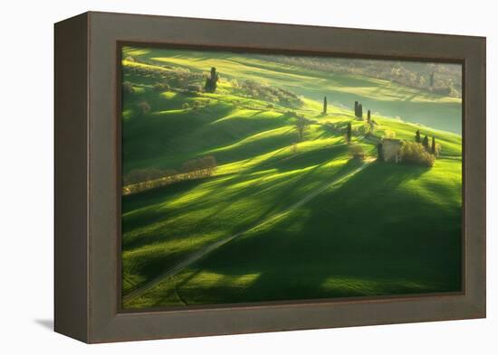 Among the Cypresses-Marcin Sobas-Framed Premier Image Canvas