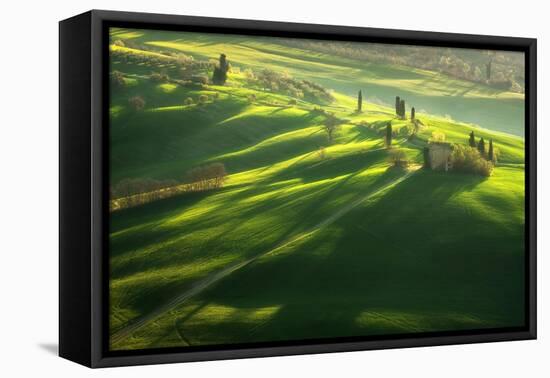 Among the Cypresses-Marcin Sobas-Framed Premier Image Canvas