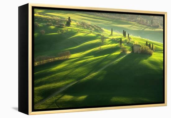 Among the Cypresses-Marcin Sobas-Framed Premier Image Canvas