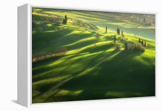 Among the Cypresses-Marcin Sobas-Framed Premier Image Canvas