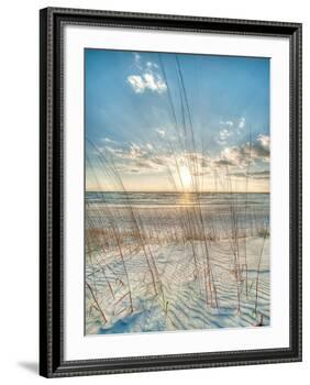 Among the Grass-Robert Jones-Framed Art Print